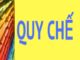 Quyết Định Ban hành thực hiện công tác cán bộ trong NPC