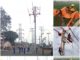 “Đào tạo thi công, sửa chữa lưới điện 22kV đang vận hành bằng phương pháp platform” tại Trường Cao đẳng Điện lực miền Bắc