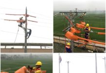 Trường Cao đẳng Điện lực miền Bắc: “Đào tạo thi công, sửa chữa lưới điện 22kV đang vận hành bằng phương pháp platform” (lớp 2)