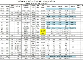 TKB + lịch thi tuần từ 16/11 đến 22/11/2020