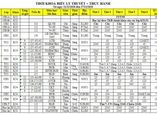 TKB + lịch thi từ ngày 28/12/2020 đến 03/01/2021