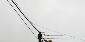 Sinh viên Trường Cao đẳng Điện lực miền Bắc tham gia thực tập sản xuất tại Công ty Điện lực Bắc Ninh