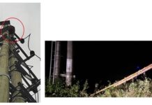 Leo cột điện chọc tổ ong, bị điện giật rơi xuống đất tử vong