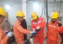 NEPC tổ chức lớp đào tạo “Quản lý vận hành, thi công cáp ngầm 110kV”