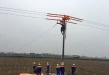 NEPC tổ chức sát hạch ra lưới các lớp hotline 22kV tại các Công ty Điện lực Yên Bái, Thái Bình, Nam Định, Sơn La và Hải Phòng