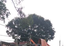 NEPC tổ chức lớp 3 “Đào tạo hotline 22kV bằng phương pháp platform”