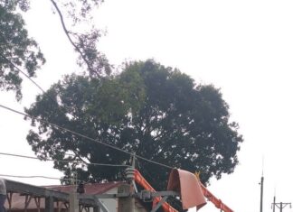 NEPC tổ chức lớp 3 “Đào tạo hotline 22kV bằng phương pháp platform”
