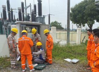 NEPC tổ chức lớp đào tạo nâng cao kỹ năng nghề QLVH, sửa chữa đường dây và TBA đến 35kV cho công nhân công ty Điện lực Sơn La