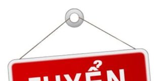 CÔNG TY CP QUỐC TẾ VITECH THÔNG BÁO TUYỂN DỤNG LAO ĐỘNG !