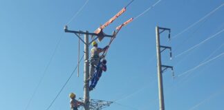 NEPC tổ chức lớp 2: “Đào tạo hotline 22kV bằng phương pháp platform”