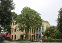 Phòng Tổ chức Hành chính