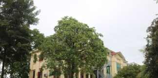 Phòng Tổ chức Hành chính
