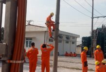 Học viên lớp nhân lực mới tuyển dụng của NPC học tập hết mình những ngày giáp tết nguyên đán Quý Mão 2023