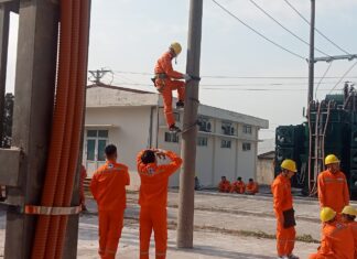 Học viên lớp nhân lực mới tuyển dụng của NPC học tập hết mình những ngày giáp tết nguyên đán Quý Mão 2023