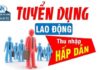 Công ty Điện lực Yên Bái thông báo tuyển dụng lao động