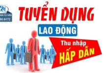 Công ty Điện lực Yên Bái thông báo tuyển dụng lao động