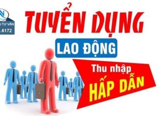 Công ty Điện lực Yên Bái thông báo tuyển dụng lao động