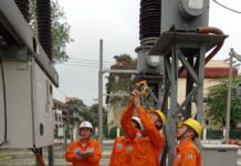 NEPC tổ chức các lớp đào tạo cho cán bộ, công nhân trực tiếp thực hiện CBM lưới điện 110kV