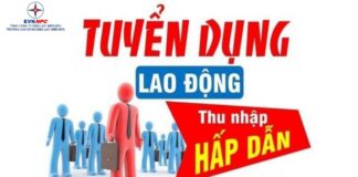 NEPC thông báo tuyển dụng lao động năm 2024