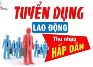 NEPC thông báo tuyển dụng lao động năm 2024