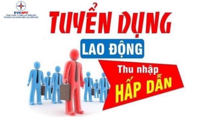 NEPC thông báo tuyển dụng lao động năm 2024