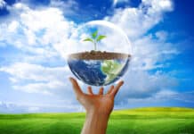 Những nguyên tắc cơ bản trong việc bảo vệ môi trường