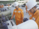 NEPC bồi dưỡng, sát hạch nghề cho công nhân Công ty Điện lực Tuyên Quang