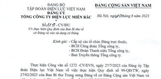 Quy định của Ban Bí thư Trung Ương về cờ Đảng và việc sử dụng cờ Đảng