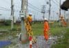NEPC tổ chức khóa đào tạo hotline 0,4kV cho công nhân Công ty Điện lực Nam Định