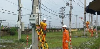 NEPC tổ chức khóa đào tạo hotline 0,4kV cho công nhân Công ty Điện lực Nam Định