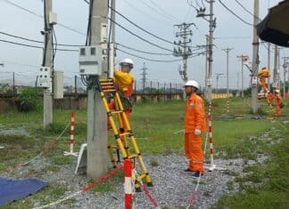 NEPC tổ chức khóa đào tạo hotline 0,4kV cho công nhân Công ty Điện lực Nam Định