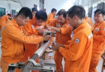 NEPC tổ chức lớp đào tạo “Quản lý vận hành, thi công cáp ngầm trung thế” cho công nhân Công ty Điện lực Phú Thọ