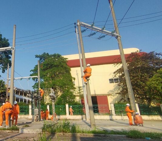 NEPC tổ chức thành công khóa đào tạo cho người lao động tuyển dụng mới tại các đơn vị thành viên Tổng công ty năm 2023