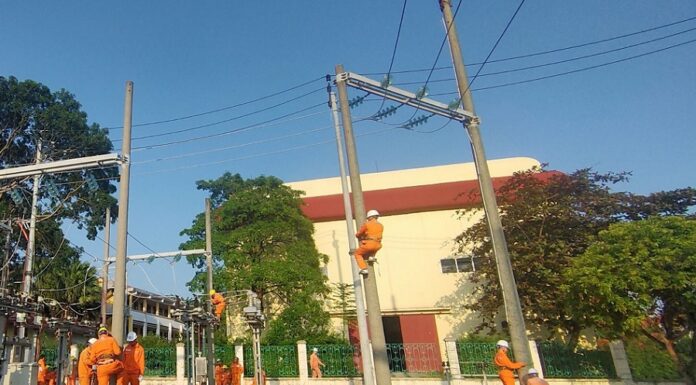 NEPC tổ chức thành công khóa đào tạo cho người lao động tuyển dụng mới tại các đơn vị thành viên Tổng công ty năm 2023