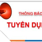 CÔNG TY CỔ PHẦN ĐẦU TƯ VÀ PHÁT TRIỂN NĂNG LƯỢNG BẮC NAM THÔNG BÁO TUYỂN DỤNG LAO ĐỘNG T12.2025