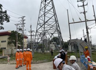 Công tác đào tạo hotline tại NEPC và định hướng trong năm 2024