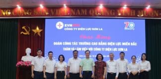 NEPC làm việc với Công ty Điện lực Sơn La
