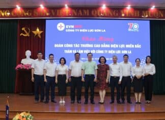 NEPC làm việc với Công ty Điện lực Sơn La