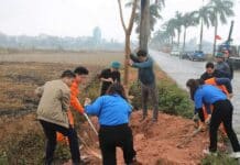 TRƯỜNG CAO ĐẲNG ĐIỆN LỰC MIỀN BẮC PHỐI HỢP CÙNG UBND XÃ TÂN DÂN PHÁT ĐỘNG “TẾT TRỒNG CÂY” XUÂN ẤT TỴ 2025