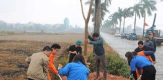 TRƯỜNG CAO ĐẲNG ĐIỆN LỰC MIỀN BẮC PHỐI HỢP CÙNG UBND XÃ TÂN DÂN PHÁT ĐỘNG “TẾT TRỒNG CÂY” XUÂN ẤT TỴ 2025
