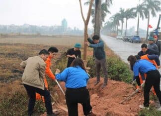 TRƯỜNG CAO ĐẲNG ĐIỆN LỰC MIỀN BẮC PHỐI HỢP CÙNG UBND XÃ TÂN DÂN PHÁT ĐỘNG “TẾT TRỒNG CÂY” XUÂN ẤT TỴ 2025