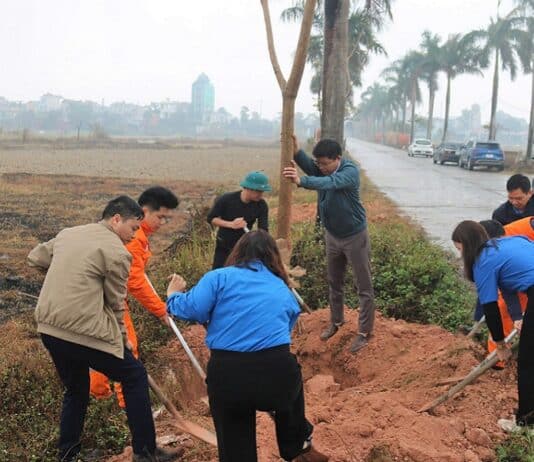 TRƯỜNG CAO ĐẲNG ĐIỆN LỰC MIỀN BẮC PHỐI HỢP CÙNG UBND XÃ TÂN DÂN PHÁT ĐỘNG “TẾT TRỒNG CÂY” XUÂN ẤT TỴ 2025