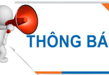 THƯ MỜI CHÀO GIÁ CÁC ĐƠN VỊ, CÁ NHÂN CUNG CẤP DỊCH VỤ CẮT, TỈA CÂY 2025