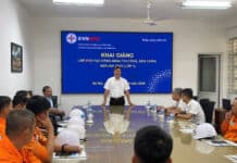 NEPC khai giảng lớp Đào tạo công nhân thi công, sửa chữa hotline 22kV – lớp 1
