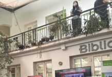 TRƯỜNG CAO ĐẲNG ĐIỆN LỰC MIỀN BẮC THAM GIA NGÀY HỘI NGHỀ NGHIỆP “KARRIERETAG” – MỞ RỘNG CƠ HỘI HỌC TẬP VÀ LÀM VIỆC TẠI ĐỨC