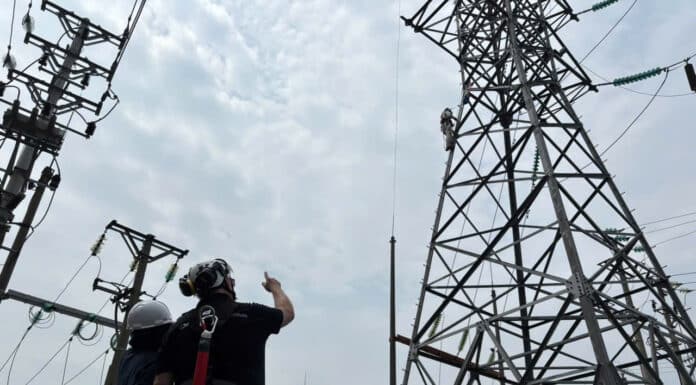 31 HSSV Trường Cao đẳng Điện lực miền Bắc trải qua một tuần phỏng vấn, đánh giá kỹ năng cùng chuyên gia Omexom